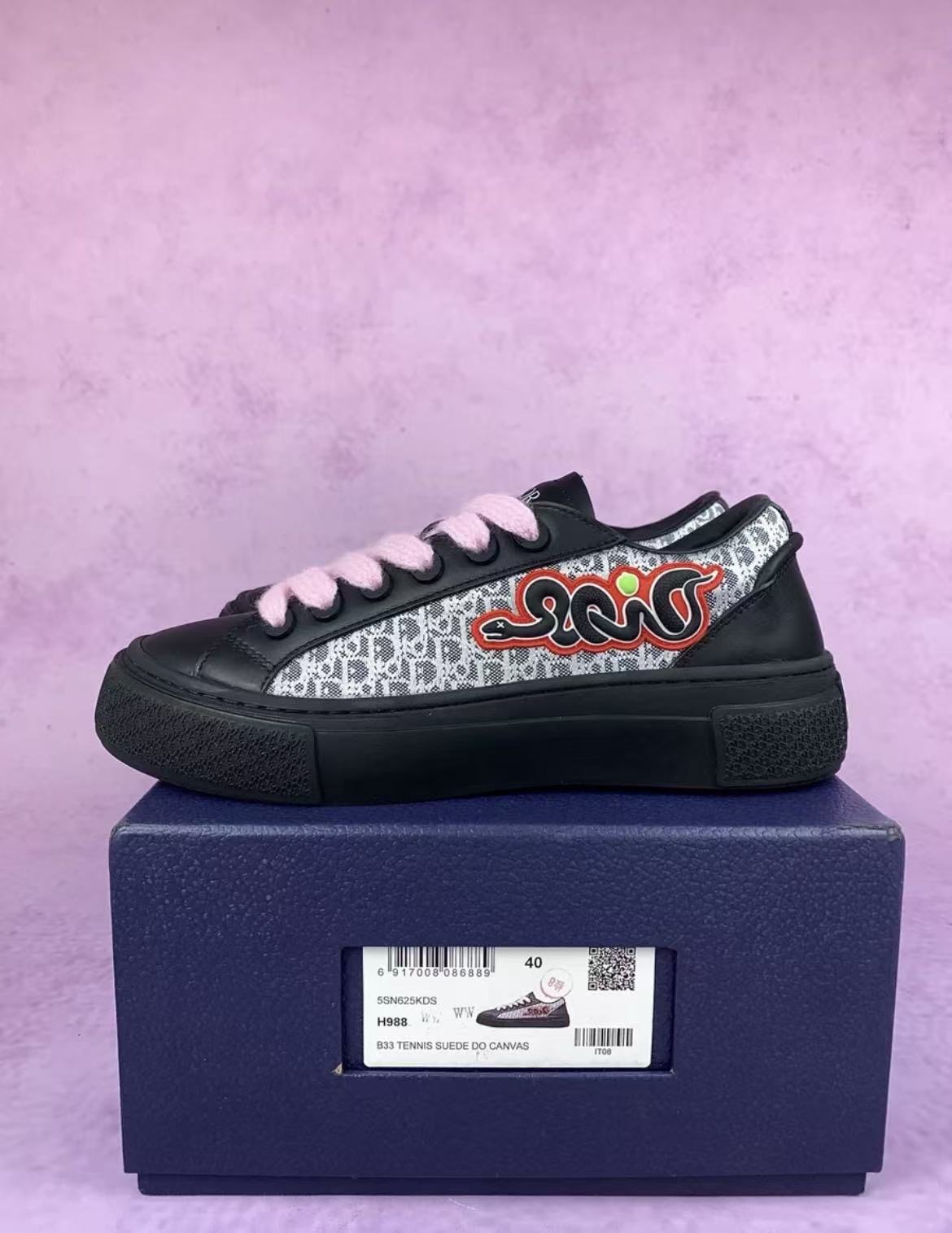 Dior x Kaws B33