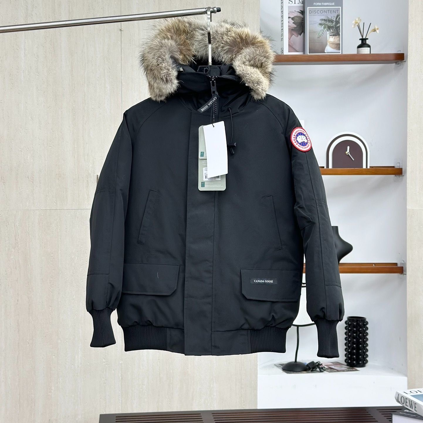 Canada Goose